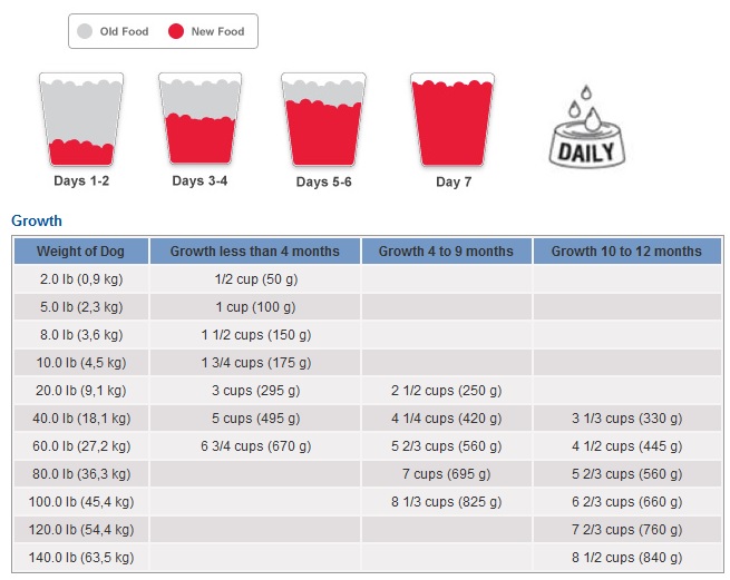 Hill S Science Diet Feeding Chart