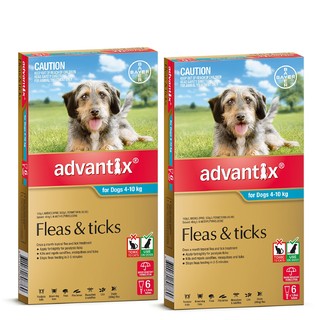 Advantix for Dogs 4-10kg (Aqua) - 12 Pack