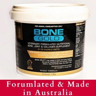 Equine Bone Gold - Bone, Joint & Collagen supplement for Horses