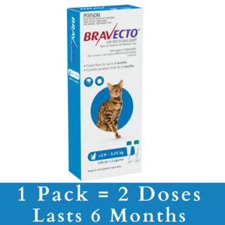 Bravecto SPOT ON for Medium Cats 2.8kg-6.25kg (Blue) - 2 Packs (4 doses)