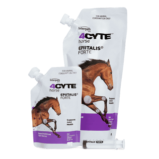 4CYTE Epiitalis Forte Gel for Horses - 2 x 1L (No Afterpay)