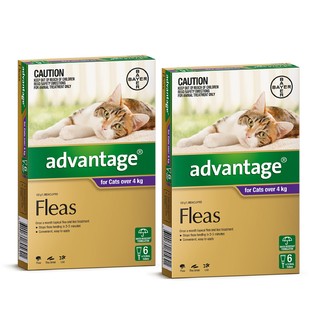Advantage for Cats Over 4kg (Purple) - 12 Pack