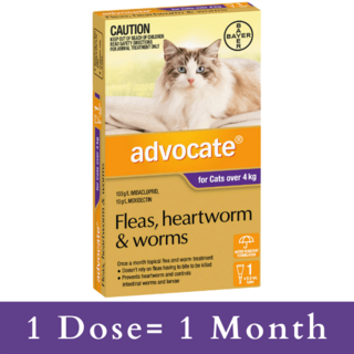 Advocate for Cats Over 4kg (Purple) - Fleas, Heartworm & Worms - 12 Pack