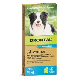 Drontal Allwormer Tablets for Dogs 10kg