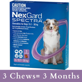 NexGard SPECTRA for Dogs 15.1 - 30kg (PURPLE) - 6 Pack