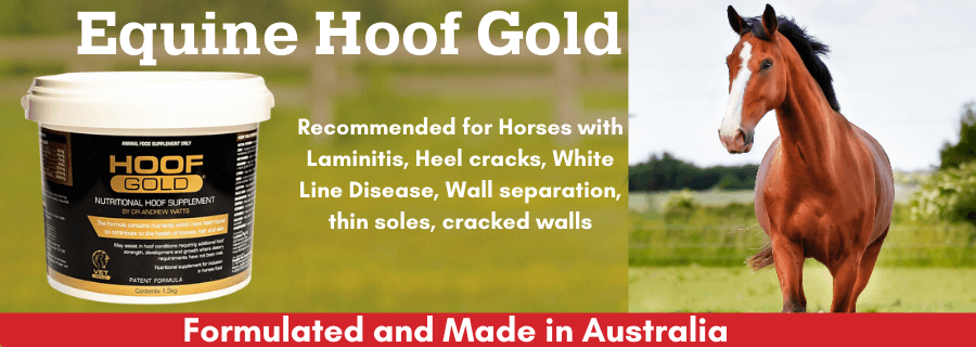 Hoof gold