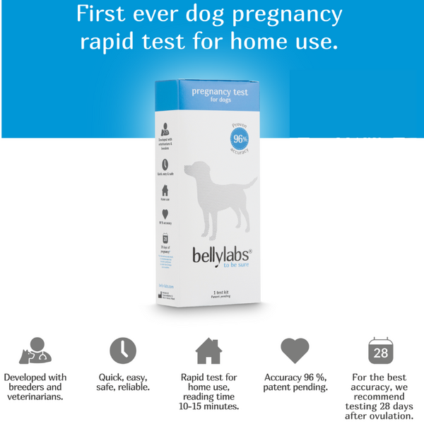 Buy BellyLabs Pregnancy Test for Dogs Aussie Vet Products