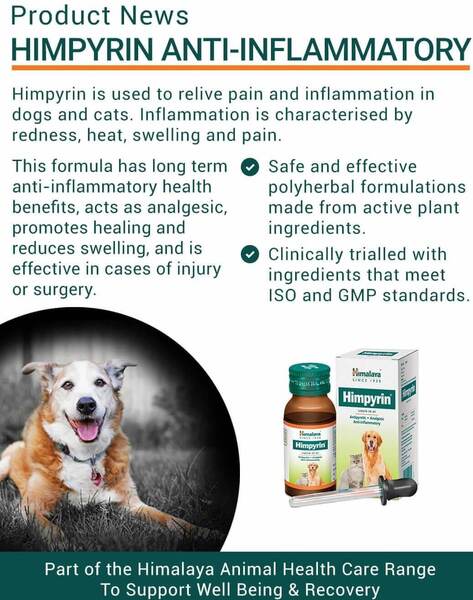 Buy Himalaya Pets - Himpyrin Anti-Inflammatory 30ml | Aussie Vet Products