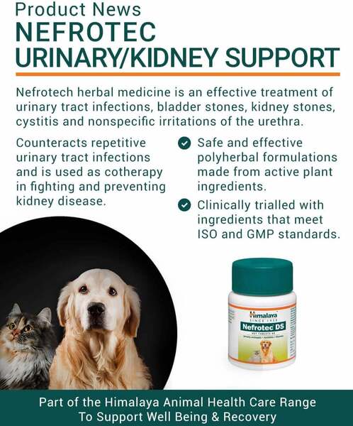 Buy Himalaya Pets - Nefrotech DS Urinary & Kidney Support - 60 tablets |  Aussie Vet Products