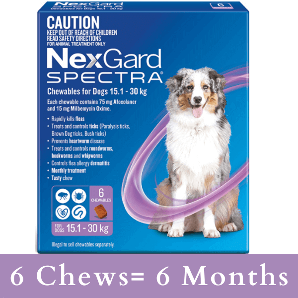 Buy NexGard SPECTRA for Dogs 15.1 30kg PURPLE Aussie Vet