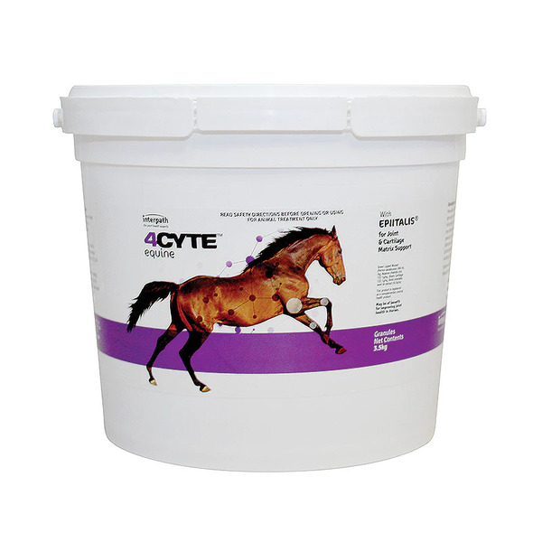 4cyte canine on sale afterpay