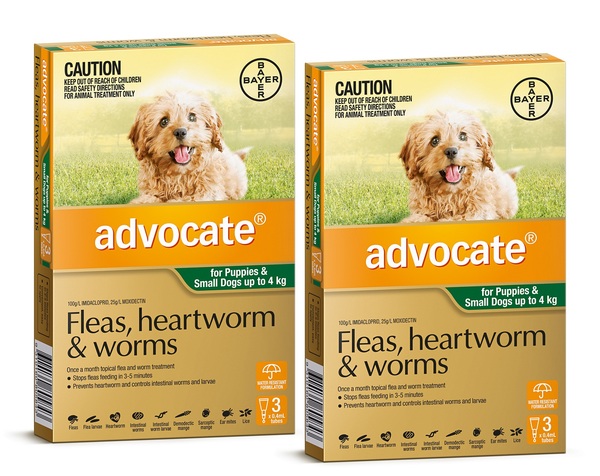 Advocate tablets hotsell for dogs