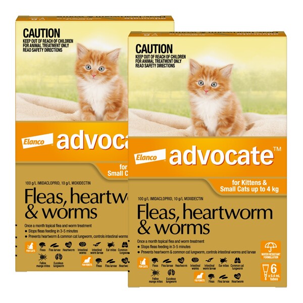 Cat lungworm medication outlet