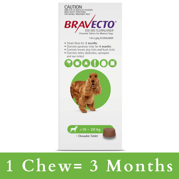 komme ud for Hårdhed købe Buy Bravecto CHEWABLE Tablet for Medium Dogs 10-20kg (Green) | Aussie Vet  Products