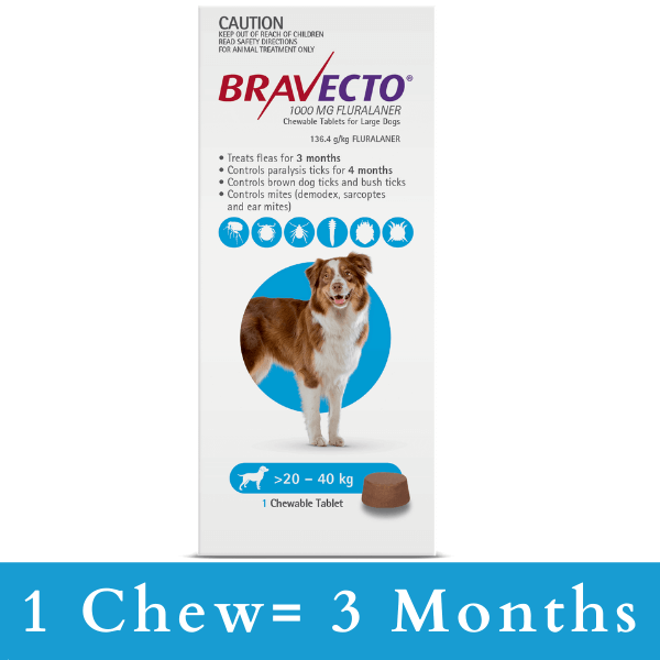 Buy Bravecto CHEWABLE Tablet for Large Dogs 20-40kg (Blue) | Aussie Vet  Products