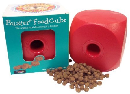 Ourpets buster sales food cube