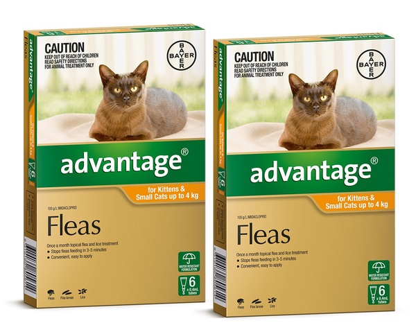 Buy Advantage for Kittens and Small Cats Up to 4kg Orange Aussie Vet Products
