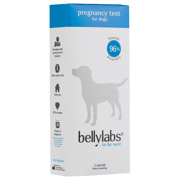 Buy BellyLabs Pregnancy Test for Dogs Aussie Vet Products
