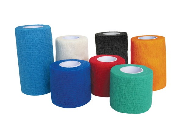 Cohesive bandage for dogs clearance