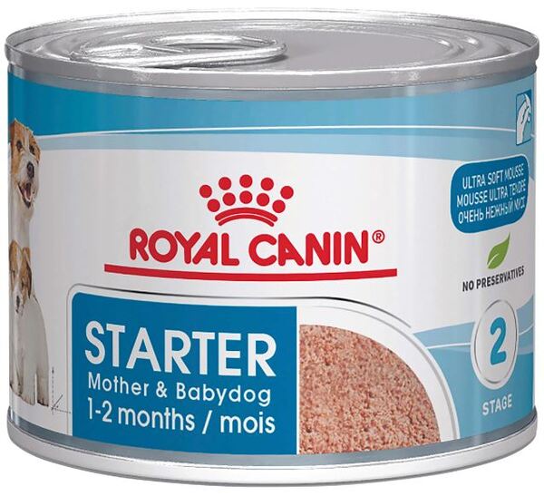 Buy Royal Canin Dog Starter Mousse 12's Cans