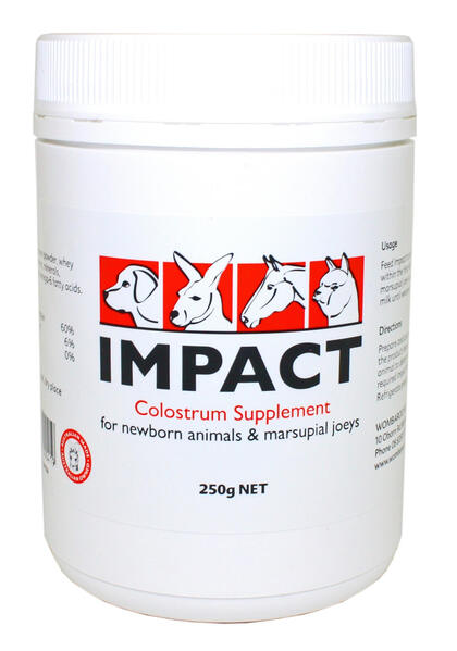 impact colostrum for puppies