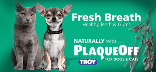 Troy-PlagueOff-Ad.jpg