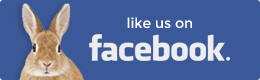 facebook logo