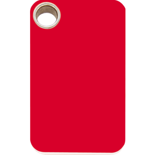 Red Dingo - Plastic Rectangular Tag - RED  Large - Engraved