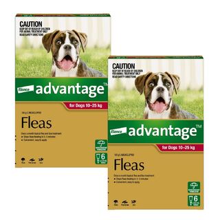 Advantage for Dogs 10-25kg (Red) - 12 Pack
