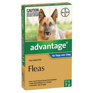 Advantage for Dogs Over 25kg (Blue)