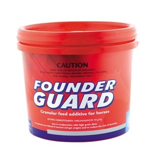 Founder Guard
