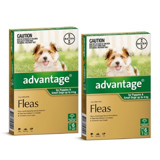 Advantage for Puppies and Small Dogs Up to 4kg (Green)[Size:12 Pack] 