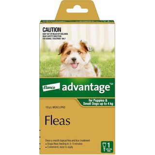 Advantage for Puppies and Small Dogs Up to 4kg (Green)