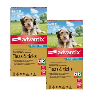 Advantix for Dogs 4-10kg (Aqua) - 12 Pack