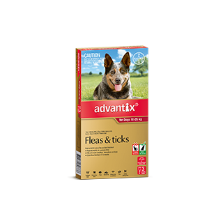 Advantix for Dogs 10-25kg (Red)
