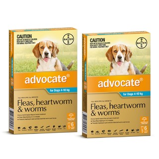 Advocate for Dogs 4-10kg (Aqua)- Fleas, Heartworm & Worms - 12 Pack
