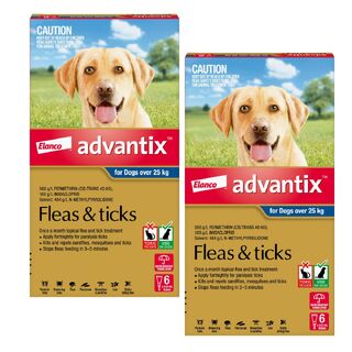 Advantix for Dogs Over 25 kg (Blue) - 12 Pack
