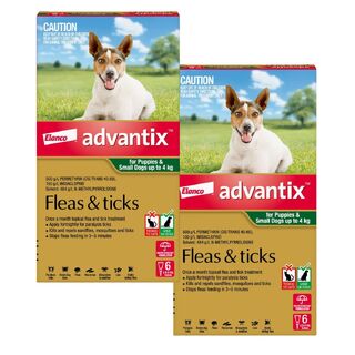 Advantix for Puppies and Small Dogs Up to 4kg (Green) - 12 Pack (out of stock)