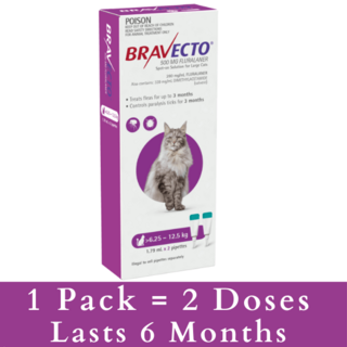 Bravecto SPOT ON for Large Cats Purple 6.25kg-12.5kg (Purple) - 2 Packs (4 doses)