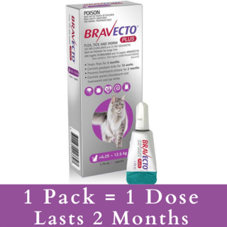 Bravecto PLUS For Large Cats 6.25 - 12.5kg (Purple)