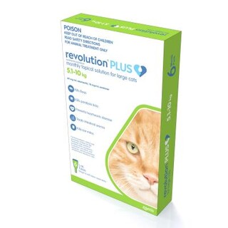 Revolution Plus for Large Cats 5.1-10kg - GREEN - 12 Pack
