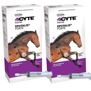 4CYTE Epiitalis Forte Gel for Horses - 2 x 1L (No Afterpay)