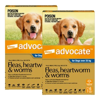 Advocate for Dogs Over 25kg (Blue) - Fleas, Heartworm & Worms - 12 Pack