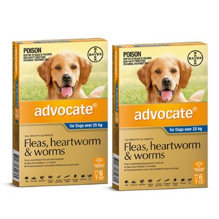 Advocate for Dogs Over 25kg (Blue) - Fleas, Heartworm & Worms - 12 Pack