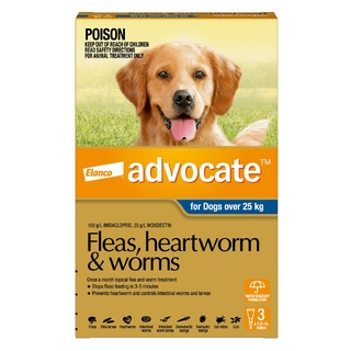 Advocate for Dogs Over 25kg (Blue) - Fleas, Heartworm & Worms