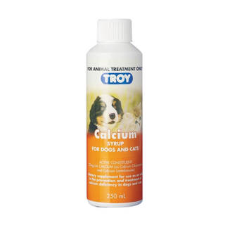 Troy Calcium Syrup - 1L