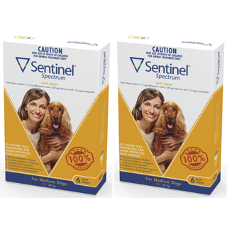 Sentinel Spectrum Tasty Chews for Medium Dogs 11-22 kg (Yellow) - 12 Pack
