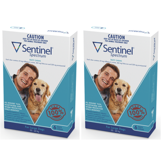 Sentinel Spectrum Tasty Chews for Large Dogs 22-45 kg (Blue) - 12 Pack