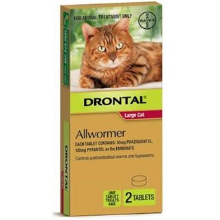 Drontal Allwormer for Large Cats up to 6kg