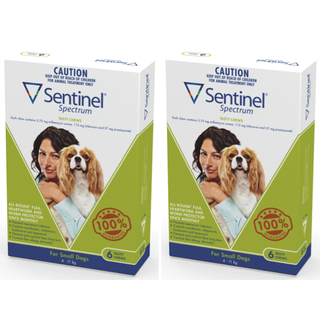 Sentinel spectrum large dog 6 best sale pack